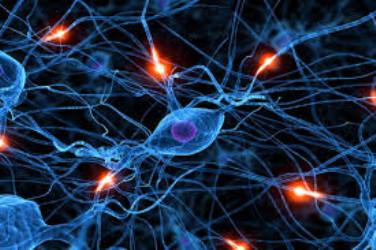 شبکه‌های عصبی مصنوعی